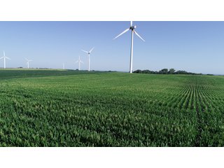 Bureau County, Illinois farmland - LAND AND WIND RIGHTS AUCTION - 337+/- ACRES IN 4 TRACTS IN BUREAU COUNTY, ILLINOIS